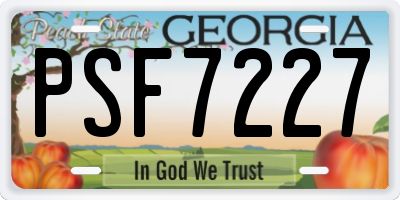 GA license plate PSF7227