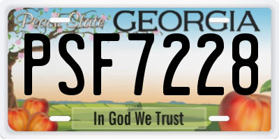 GA license plate PSF7228