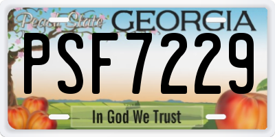GA license plate PSF7229