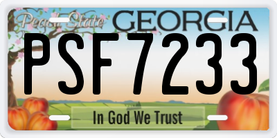 GA license plate PSF7233