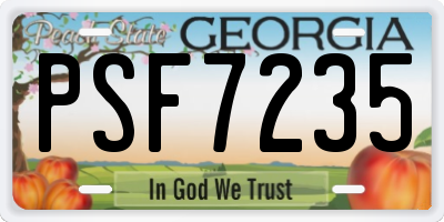 GA license plate PSF7235