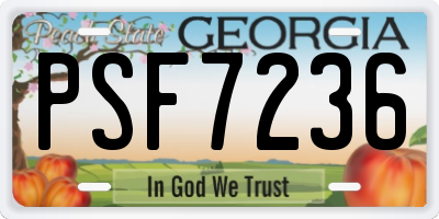 GA license plate PSF7236