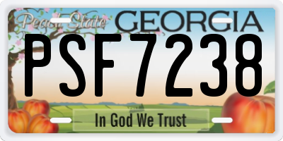 GA license plate PSF7238