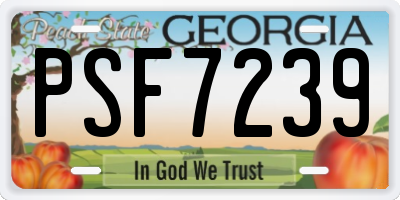 GA license plate PSF7239