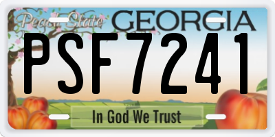 GA license plate PSF7241