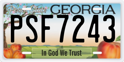 GA license plate PSF7243