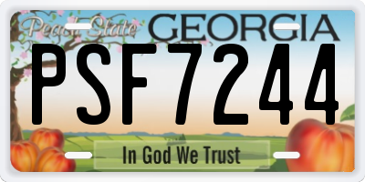 GA license plate PSF7244