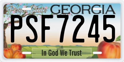 GA license plate PSF7245