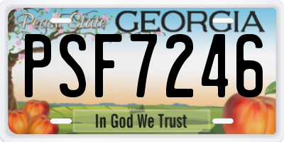GA license plate PSF7246