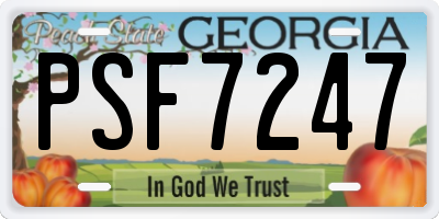 GA license plate PSF7247