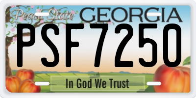 GA license plate PSF7250