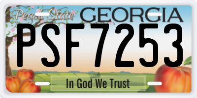 GA license plate PSF7253