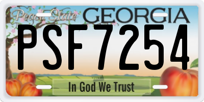GA license plate PSF7254