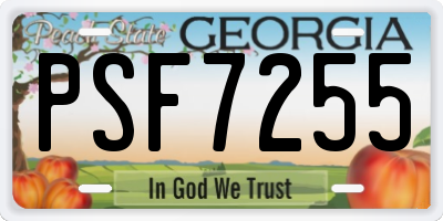 GA license plate PSF7255