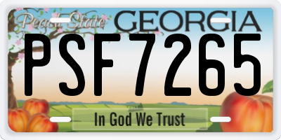 GA license plate PSF7265