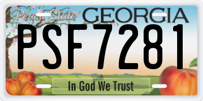 GA license plate PSF7281