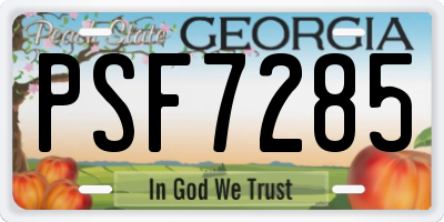 GA license plate PSF7285