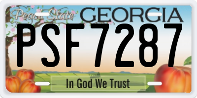 GA license plate PSF7287
