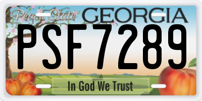 GA license plate PSF7289