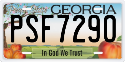GA license plate PSF7290