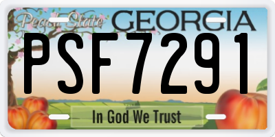 GA license plate PSF7291