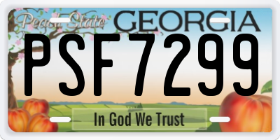 GA license plate PSF7299