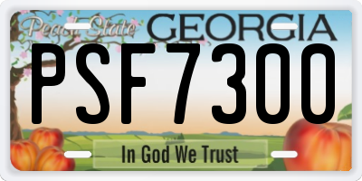 GA license plate PSF7300