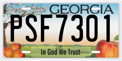 GA license plate PSF7301