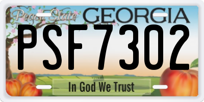 GA license plate PSF7302