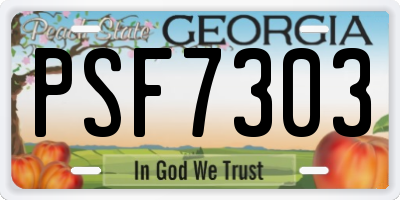 GA license plate PSF7303