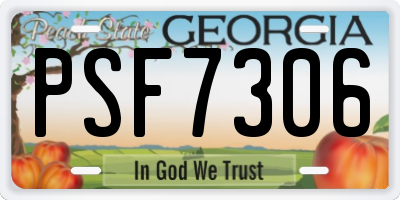 GA license plate PSF7306