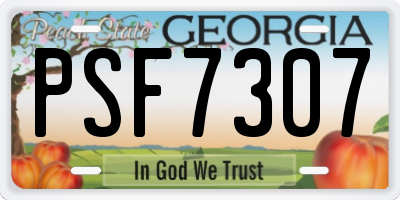 GA license plate PSF7307