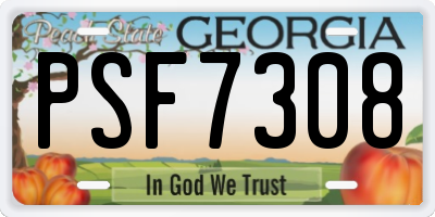 GA license plate PSF7308