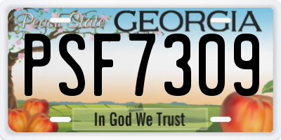 GA license plate PSF7309