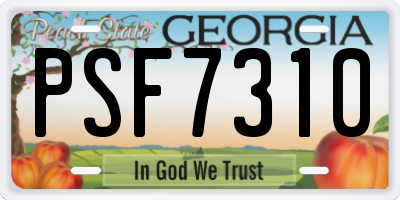 GA license plate PSF7310