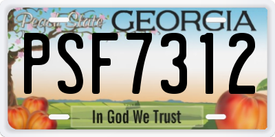 GA license plate PSF7312