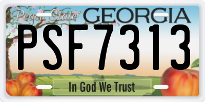 GA license plate PSF7313