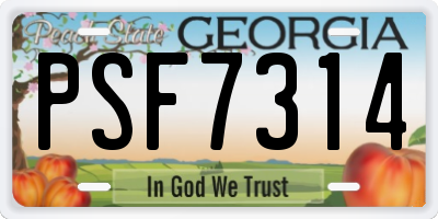 GA license plate PSF7314