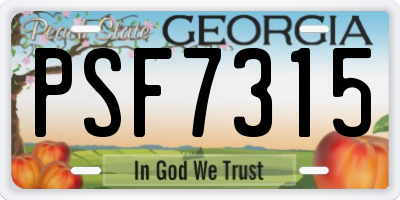 GA license plate PSF7315
