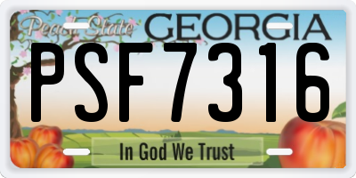 GA license plate PSF7316