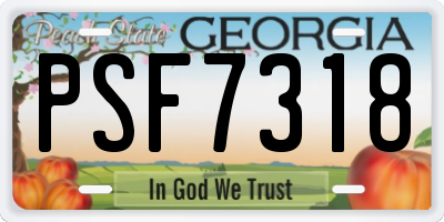 GA license plate PSF7318