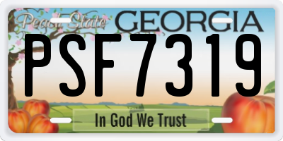 GA license plate PSF7319