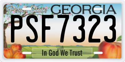 GA license plate PSF7323