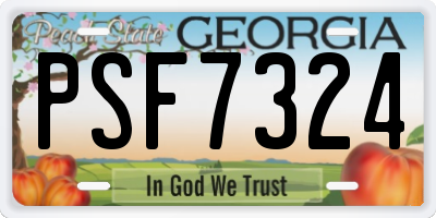 GA license plate PSF7324