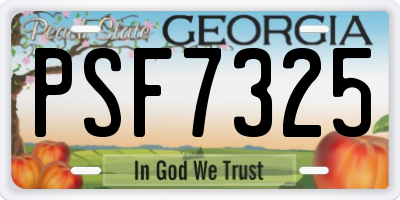 GA license plate PSF7325