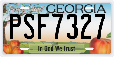 GA license plate PSF7327