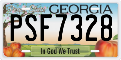 GA license plate PSF7328