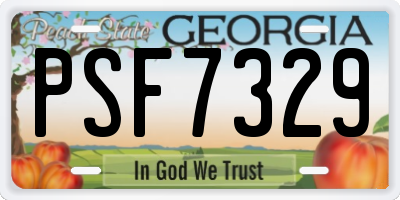GA license plate PSF7329