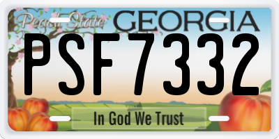 GA license plate PSF7332