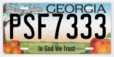 GA license plate PSF7333